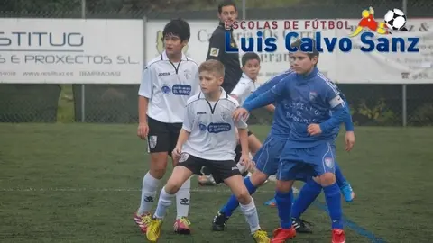 alevionacalvo
