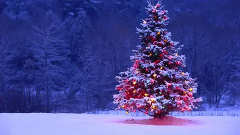 NAVIDAD-1