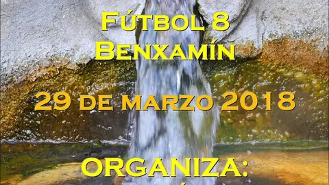 Cartel-torneo-benxamin-2018_pabell&oacute;n