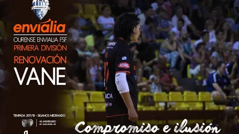 vane