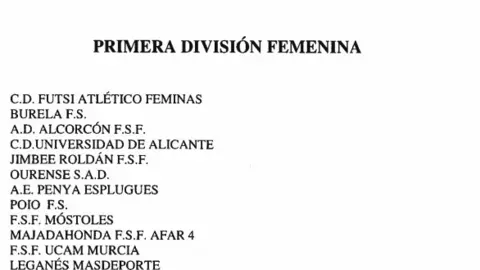 Primera_Divisi&oacute;n_FSF