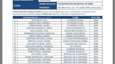 convocatoria futgal fsf