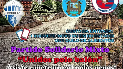 partido mixto solidario