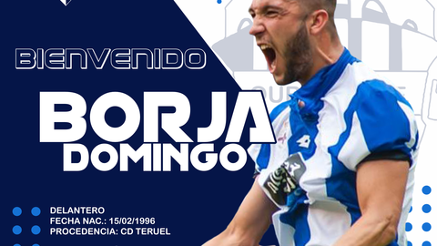 BIENVENIDO BORJA DOMINGO
