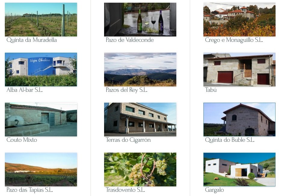 Bodegas_Monterrei2